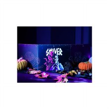 Shiver: Directors Screen