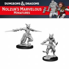 Female Tabaxi Rouge (2ct)