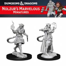 Tiefling Sorcerer Female (2ct)
