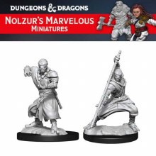 Warforged Monk (2ct)