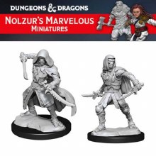 Warforged Rogue (2ct)