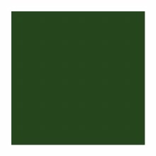 Forest Green Variable Size Playmat