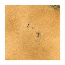 Desert 4ft x 4ft Playmat