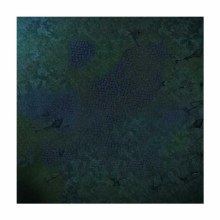 Moonlight Battleground 4ft x 4ft Playmat