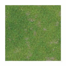 Rough Grassland 2ft x 2ft Playmat