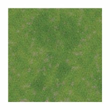 Rough Grassland 4ft x 4ft Playmat