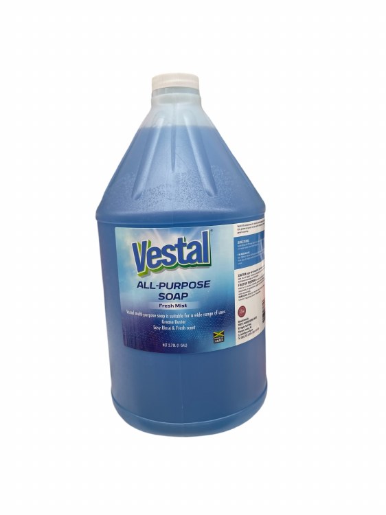 Vestal Allpurpose Soap 1gal