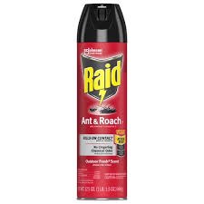 Raidspray 17.50oz 12cs