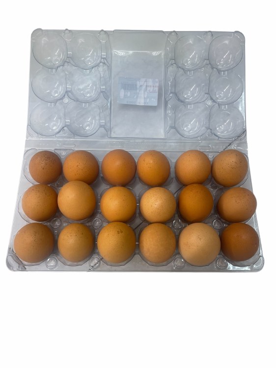 Eggs 18 Tray 20cs