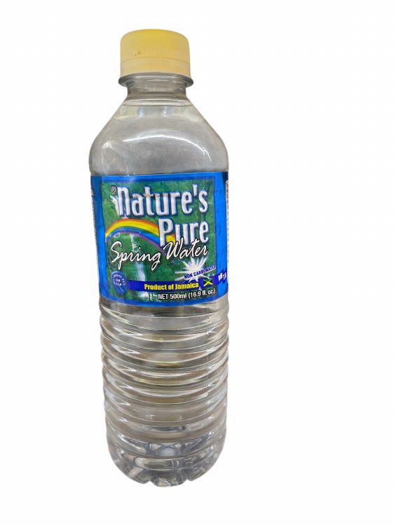 Natures Pure Water 500ml 24cs