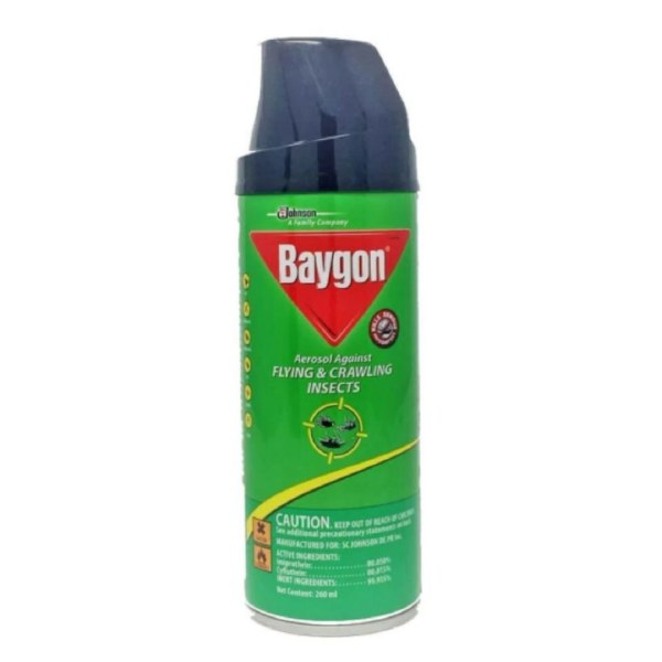 Baygon 260/285ml (12cs)