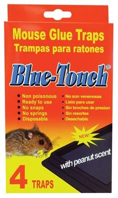 Blue Touch Glue Traps Lrg 48cs