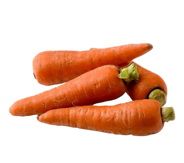 Carrot