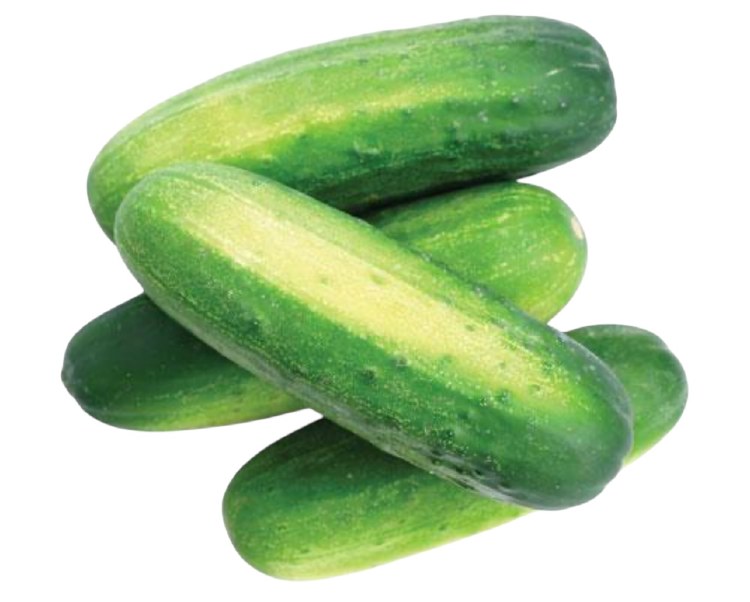 Cucumber