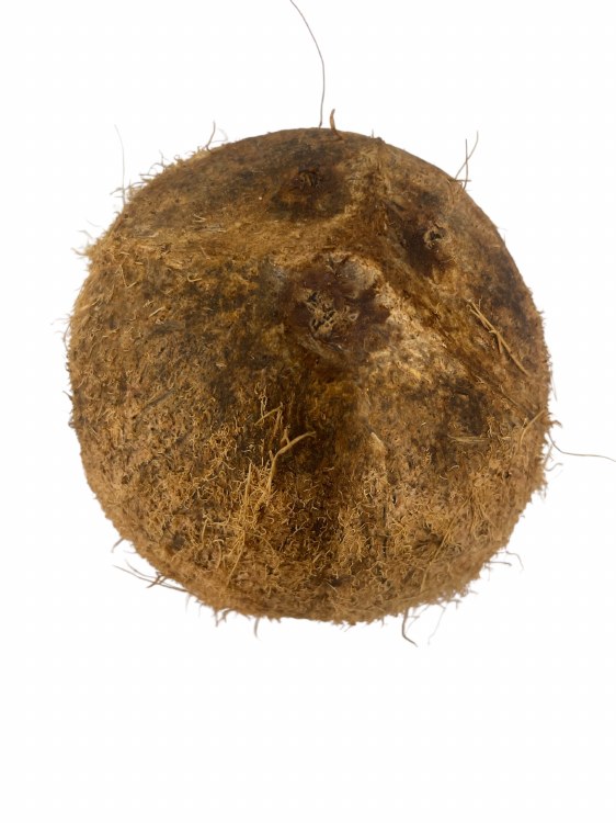 Dry Coconut