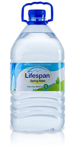 Lifespan Spring Water 5lt 3cs