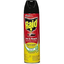 Raid Insect Spray 496gm (24cs)