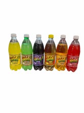 Bigga 600ml (24cs)