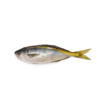 BUTTER FISH WHOLE KG - 2.2LB