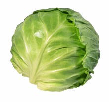 Cabbage
