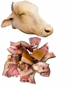Cow Head