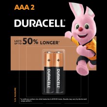 Duracell Battery (aaa)2inpk