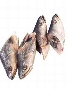 Fish Head 40lb