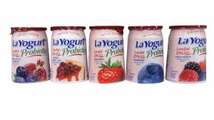 Layogurt 32oz 8cs