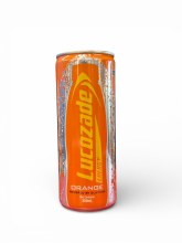 Lucozad Can 250ml 12cs