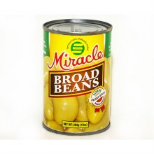 Miracle Broad Bean 284g (48cs)
