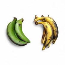 Plantain Ripe /green