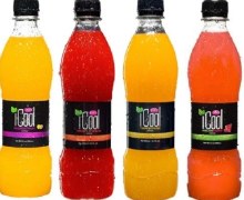 Icool Juice 500ml (24cs)