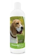Avacado Shampoo Dog 12oz (6cs)