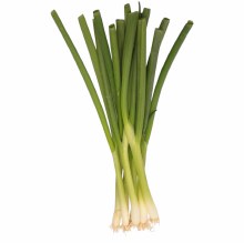 Escallion