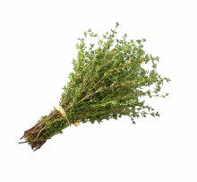 Thyme