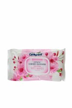 Wet Wipes Ultra Compact 90pcs