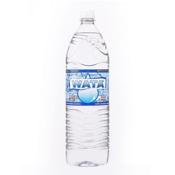 Water Wata 1litre (12cs)
