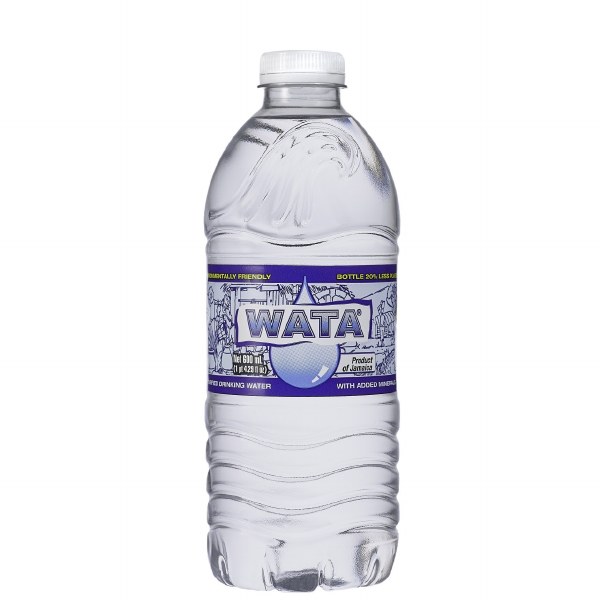Water Wata 600ml (24cs)