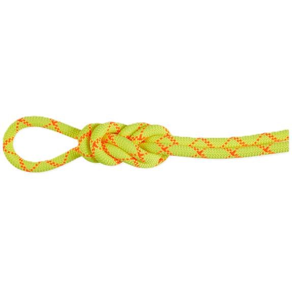 9.5 Alpine Core Protect Dry Rope 70m