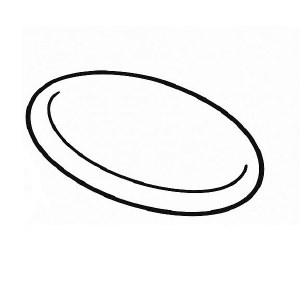 Disc Rental