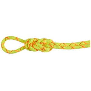 9.5 Alpine Core Protect Dry Rope 70m
