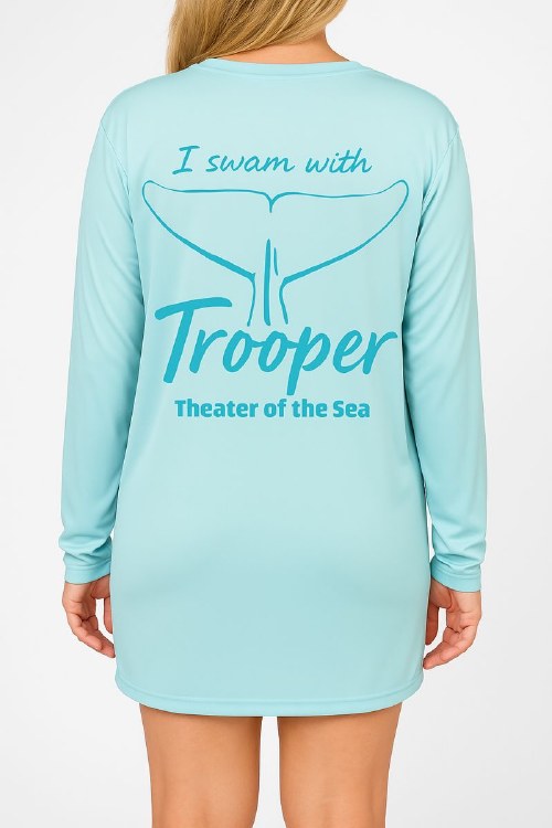 Trooper S Icebl