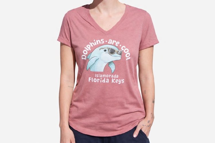 Cool V-neck Tee S Blush