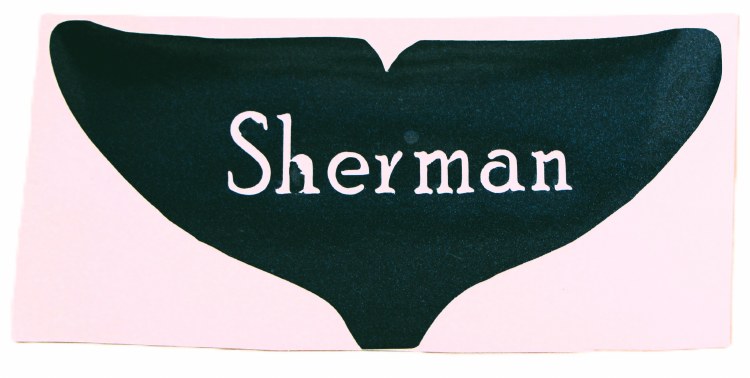 Sherman Decal