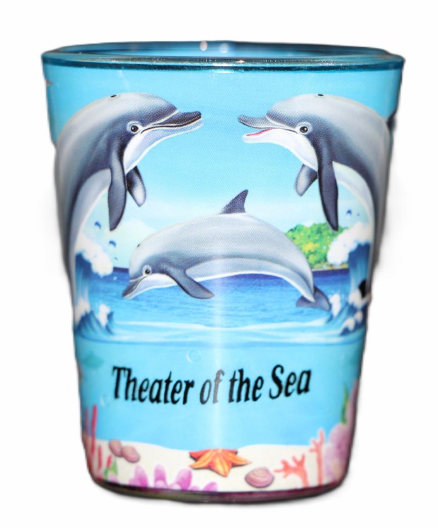 Dolphin Duo Shot Glass