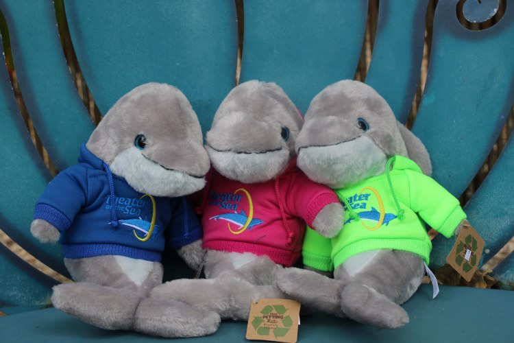 8'' Hoodie Dolphin