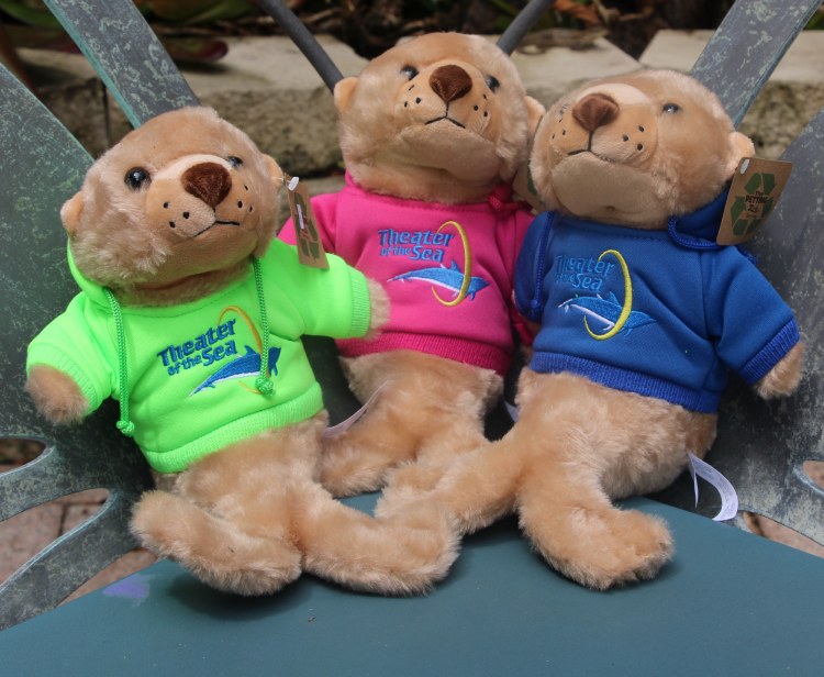 8" Hoodie Sea Lion