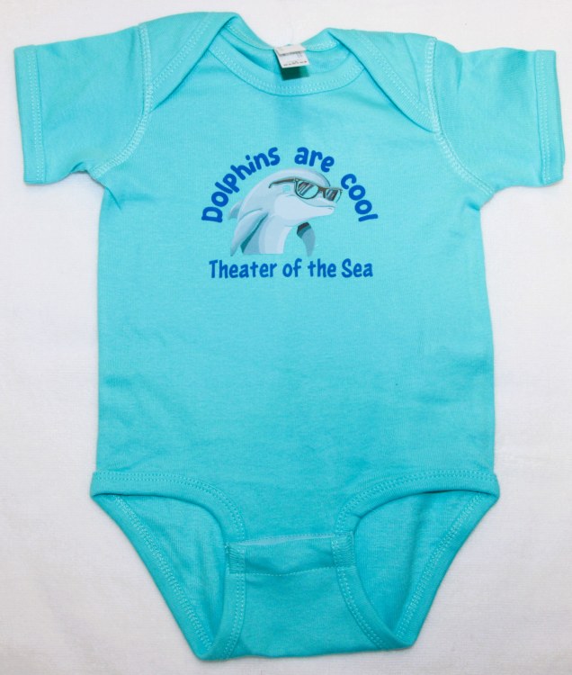 Aqua Onesie Dl 6mo