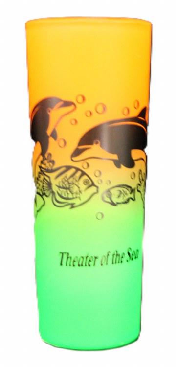 Dolphin Shooter Glass