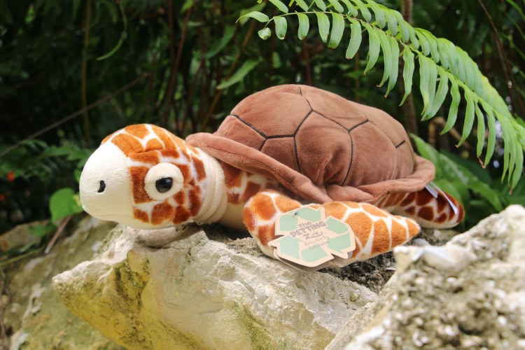 10" Sea Turtle